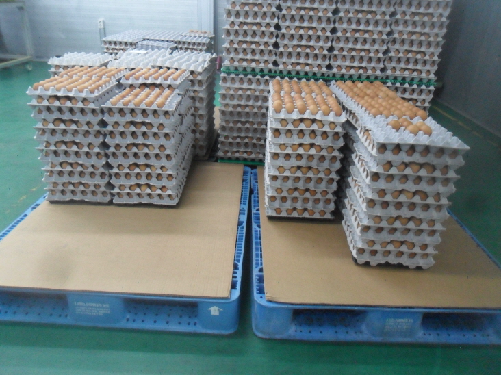 달걀, 계란, Egg